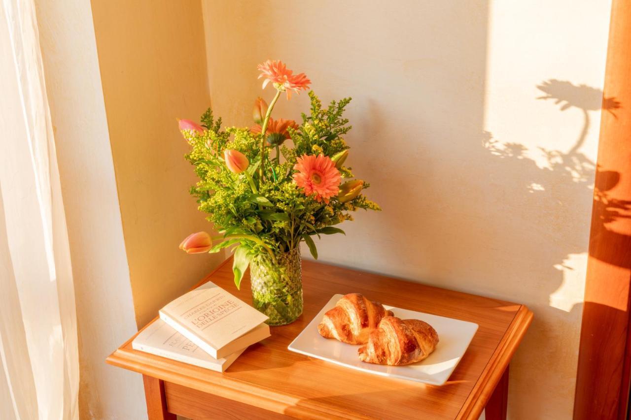 Mediterraneo Tartufoexperience Bed & Breakfast Pizzo  Bagian luar foto